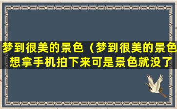 梦到很美的景色（梦到很美的景色 想拿手机拍下来可是景色就没了）